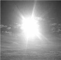 Between The Screams : Embryo